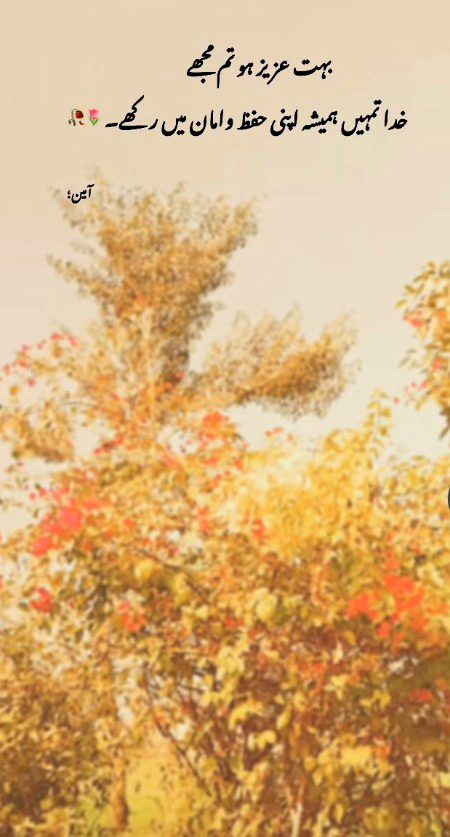 Romantic Poetry image