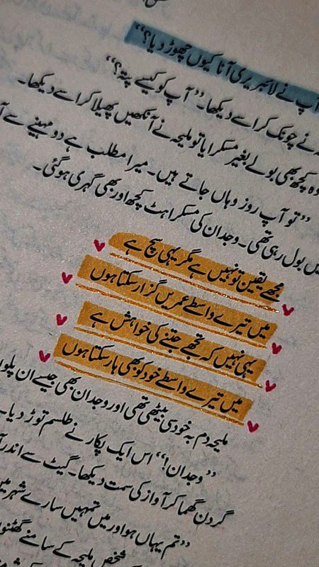 Romantic Novels image