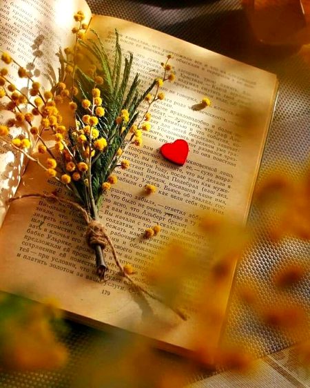 *دماغ ٹھنڈا ہو تو فیصلے غلط نہیں ہوتے
*_✨ زبان میٹھی ہو تو اپنے دور نہیں ہوتے_*🥀💔