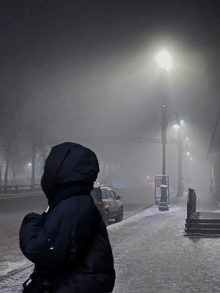 زندگی میں کبھی کبھی دھند کی کیفیت بھی ہونی چاہیے جہاں آپ کو اپنے سوا کچھ دکھائی نا دے 🤍⚡🍂