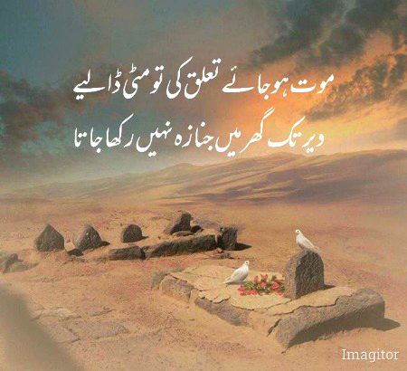 🌹 merijan-16 🌹
Acha h dafna dia jay