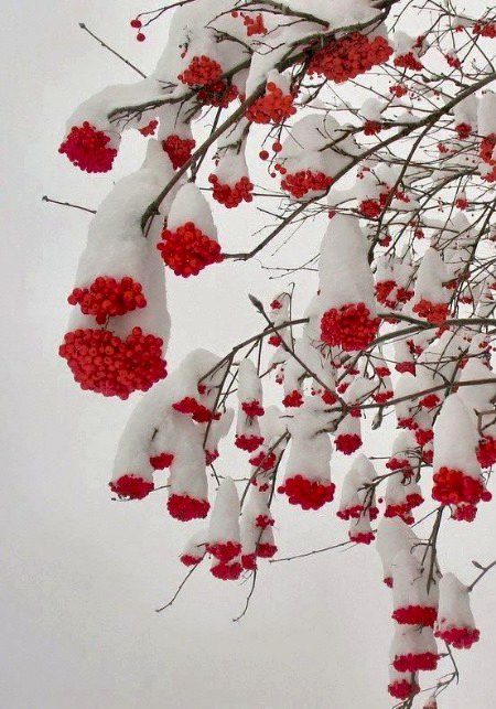 Beautiful Nature image