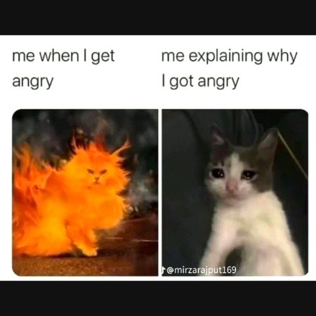 ┐( ∵ )┌