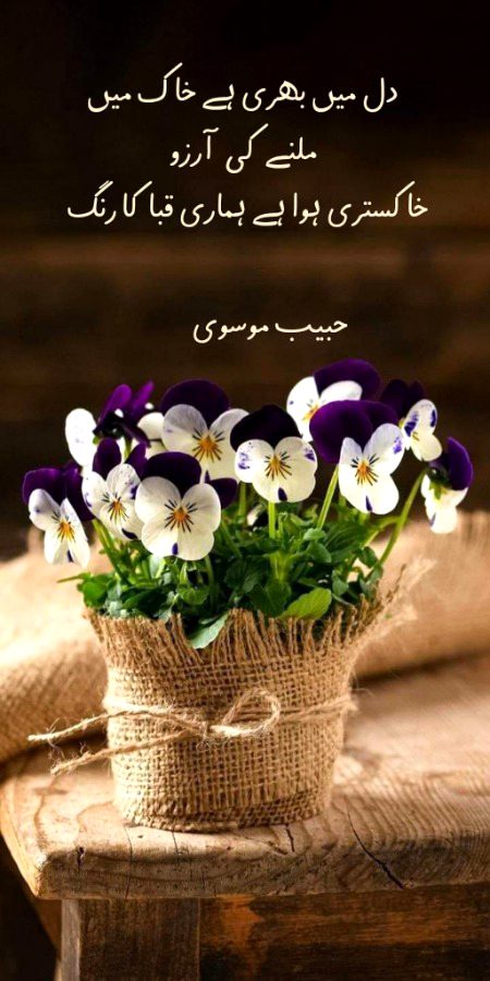 دل میں بھری ہے خاک میں ملنے کی آرزو
خاکستری ہوا ہے ہماری قبا کا رنگ
حبیب موسوی ✍️