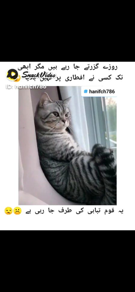 Maham jutt