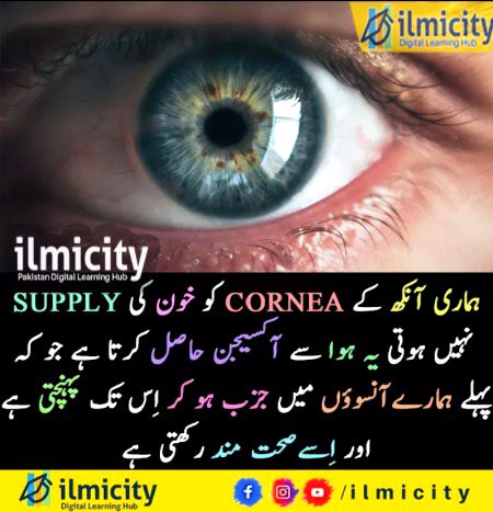 Interesting Posts image