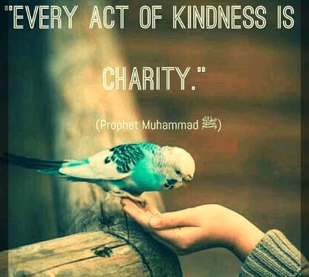 Islamic Quotes image