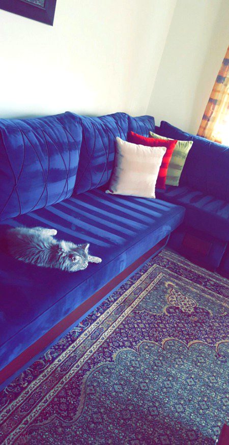 Beautiful Nature image