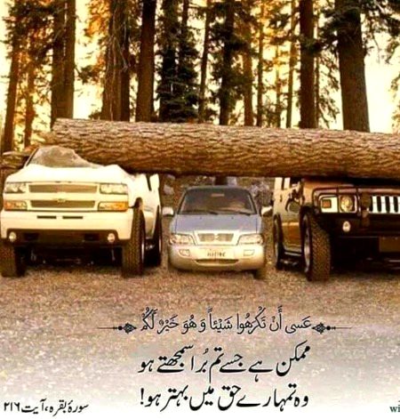 Islamic Quotes image