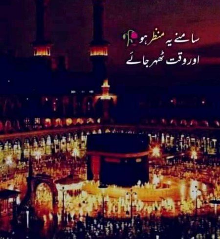 🌸🌷🍀🌹🌻🌺🌸🌷🍀🌹🌻🌺🌸🌷🍀🌹🌻🌺🌸🌷🍀🌹🌻🌺