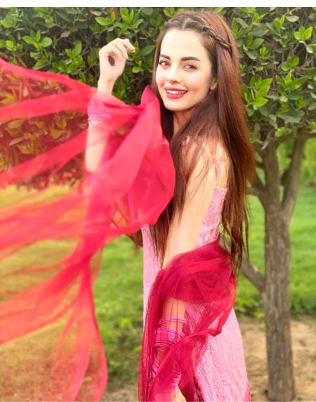 Pakistani Celebs image