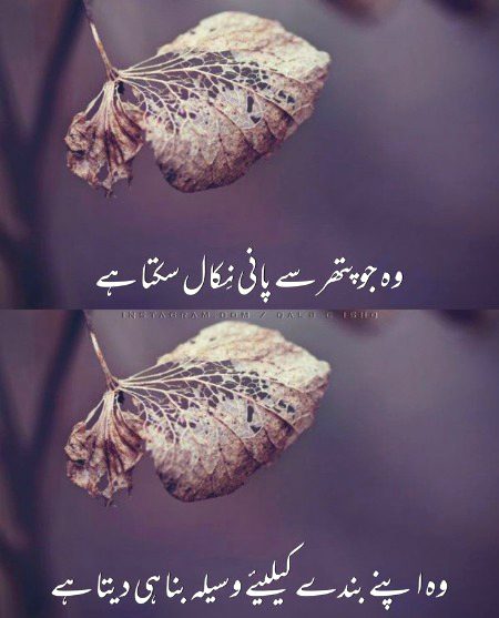Islamic Quotes image
