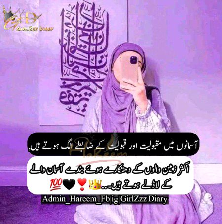 Attitude Quotes image