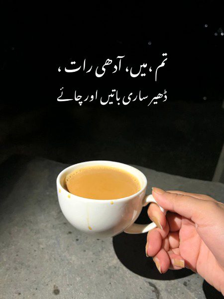 یہ تازگی یہ تبسم اور یہ زندگی 
کہاں ملتی ہمیں اگر چائے نہ ہوتی
❣️☕