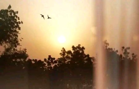 Beautiful Nature image