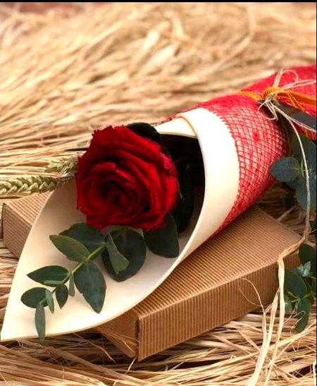 Beautiful Nature image