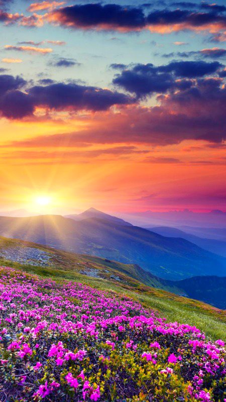 Beautiful Nature image