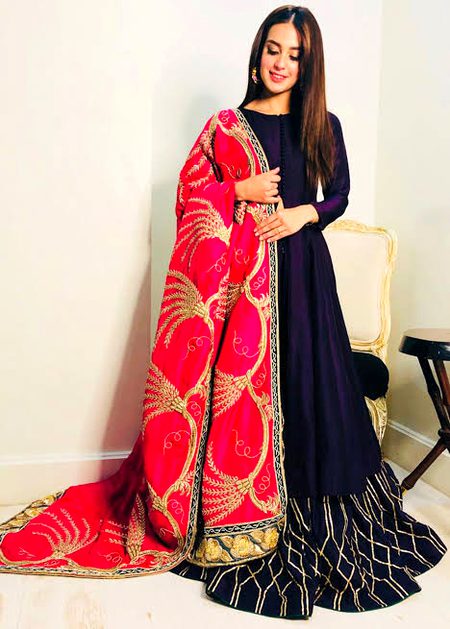 Pakistani Celebs image