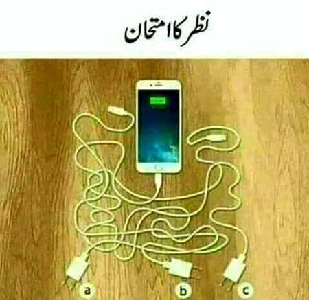 Muskii jana