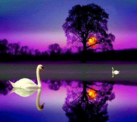 Beautiful Nature image
