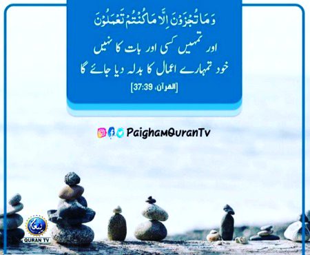 zxdcvsadfsdaf sadf sadf sadf