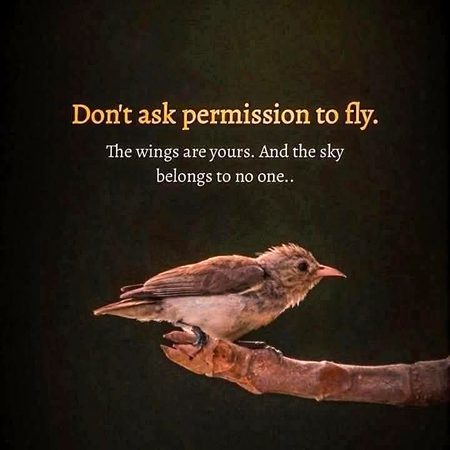 تمھاری قیمت تمھیں معلوم ہونی چاہیے
چار لوگ جو کہتے ہیں وہ انکی عقل کا معیار ہے۔۔🌸