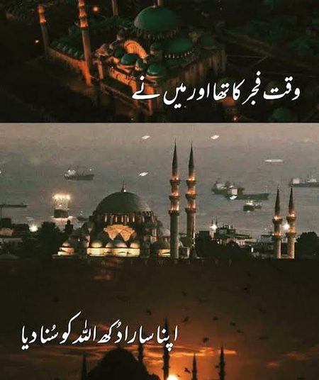 🍁Zoq_Shab🍁