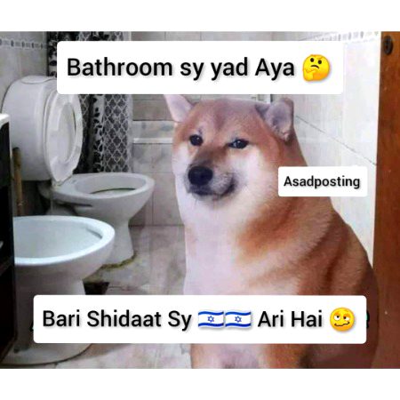 ,,..,,..,,