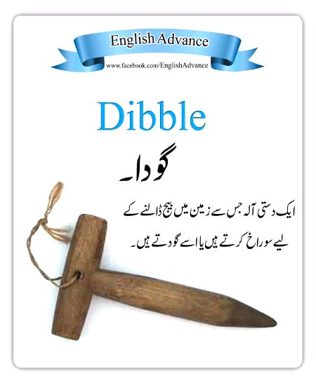 Tips for Students image