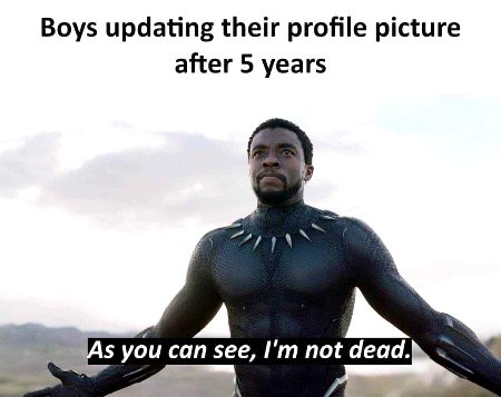 Memes & Satire image