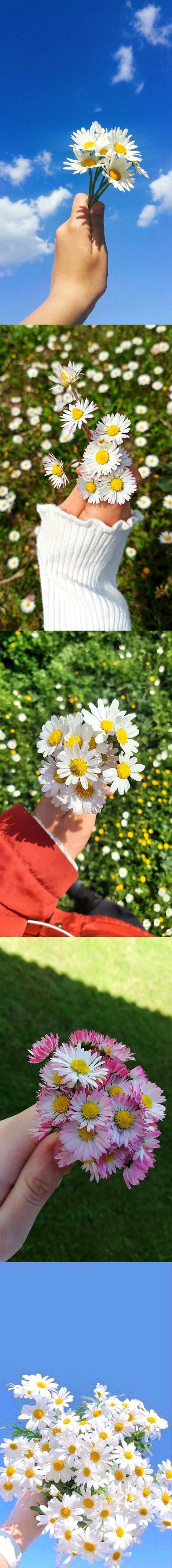 Beautiful Nature image