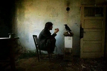 ❞ یہ میرا اپنا دماغ ہے اس لیے اس میں اپنے خیالات مت تلاش کرو۔❝👏🏻🌚