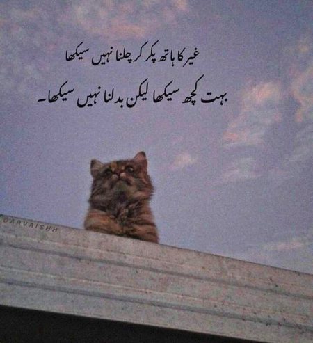 Attitude Poetry image