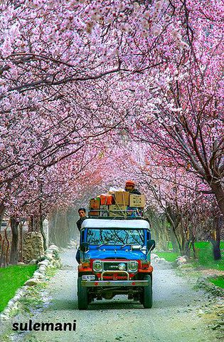 Beautiful Nature image