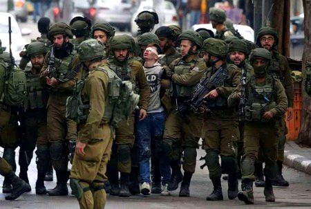 Catching a lion needs a thousand dogs.
🖤🇵🇸