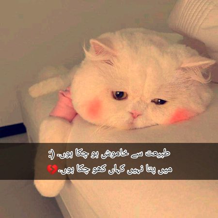 Sad Poetry image