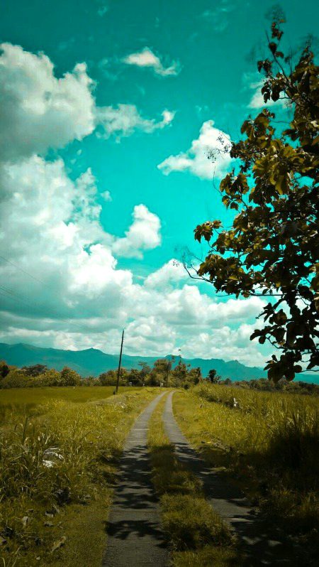 Beautiful Nature image