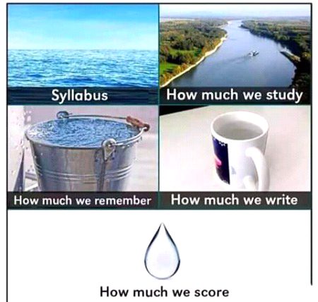 Memes & Satire image