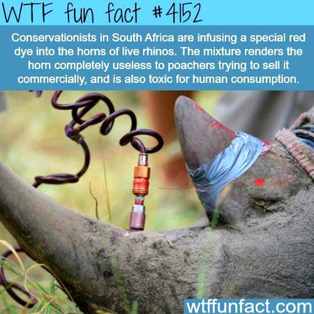 Interesting Posts image