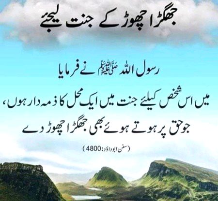 Islamic Quotes image