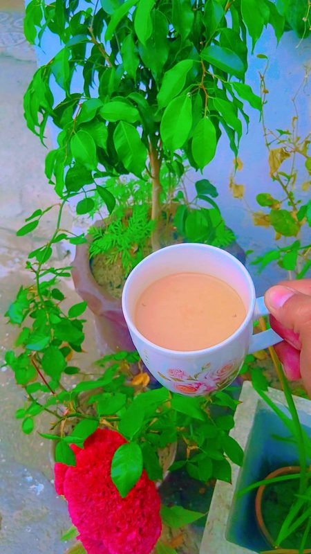 یہ دسمبر کی سرد صبح اور  بارش کا موسم
میں!! میری تنہائی،کچھ یادیں اور چاۓ۔۔