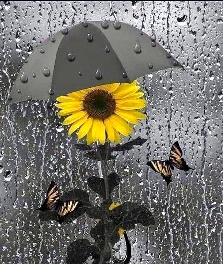 Beautiful Nature image