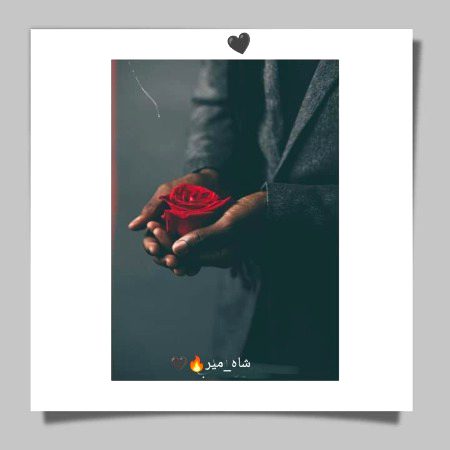 اک میں نے ہی اُگائے نہیں خوابوں کے گُلاب..!!
تو بھی اس جُرم میں شامل ہے، مرا ساتھ نہ چھوڑ..!! 🙂🖤
"شاہ_میر"🔥🖤