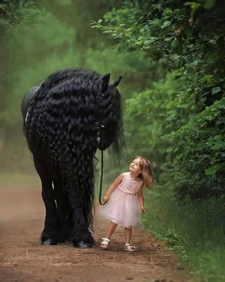 Beautiful Nature image