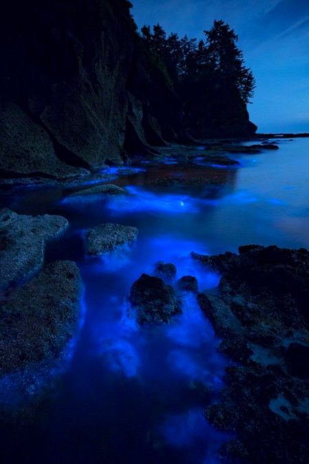 Beautiful Nature image
