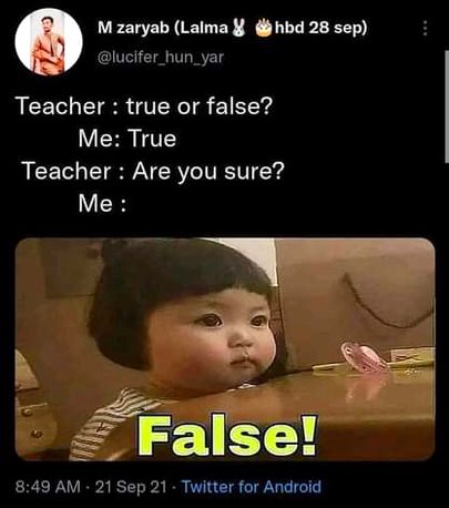 Memes & Satire image