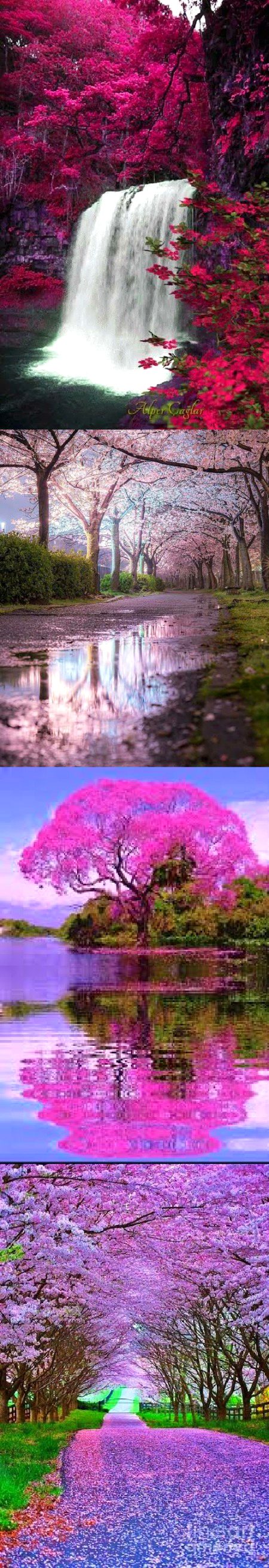 Beautiful Nature image