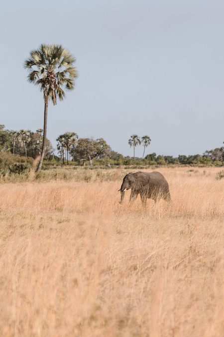 Beautiful Nature image