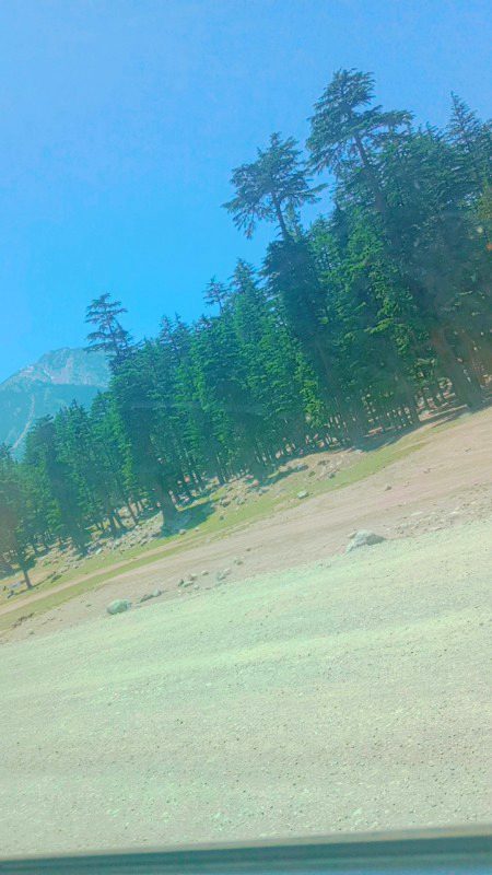 Beautiful Nature image