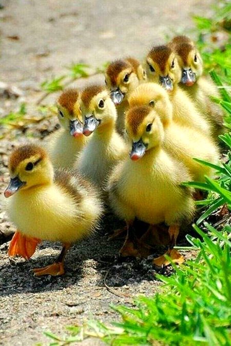 Beautiful Nature image